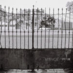 cotidiano-4