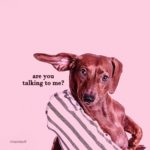 are_you_2-rain