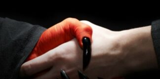 Términos y condiciones en la web, ¿Qué aceptamos cuando las aceptamos