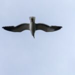 ushuaia_clapps-25