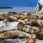 ushuaia_clapps-6