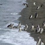 ushuaia_clapps-8