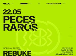 Peces Raros llega a Rosario con una nueva noche de electrónica y rock